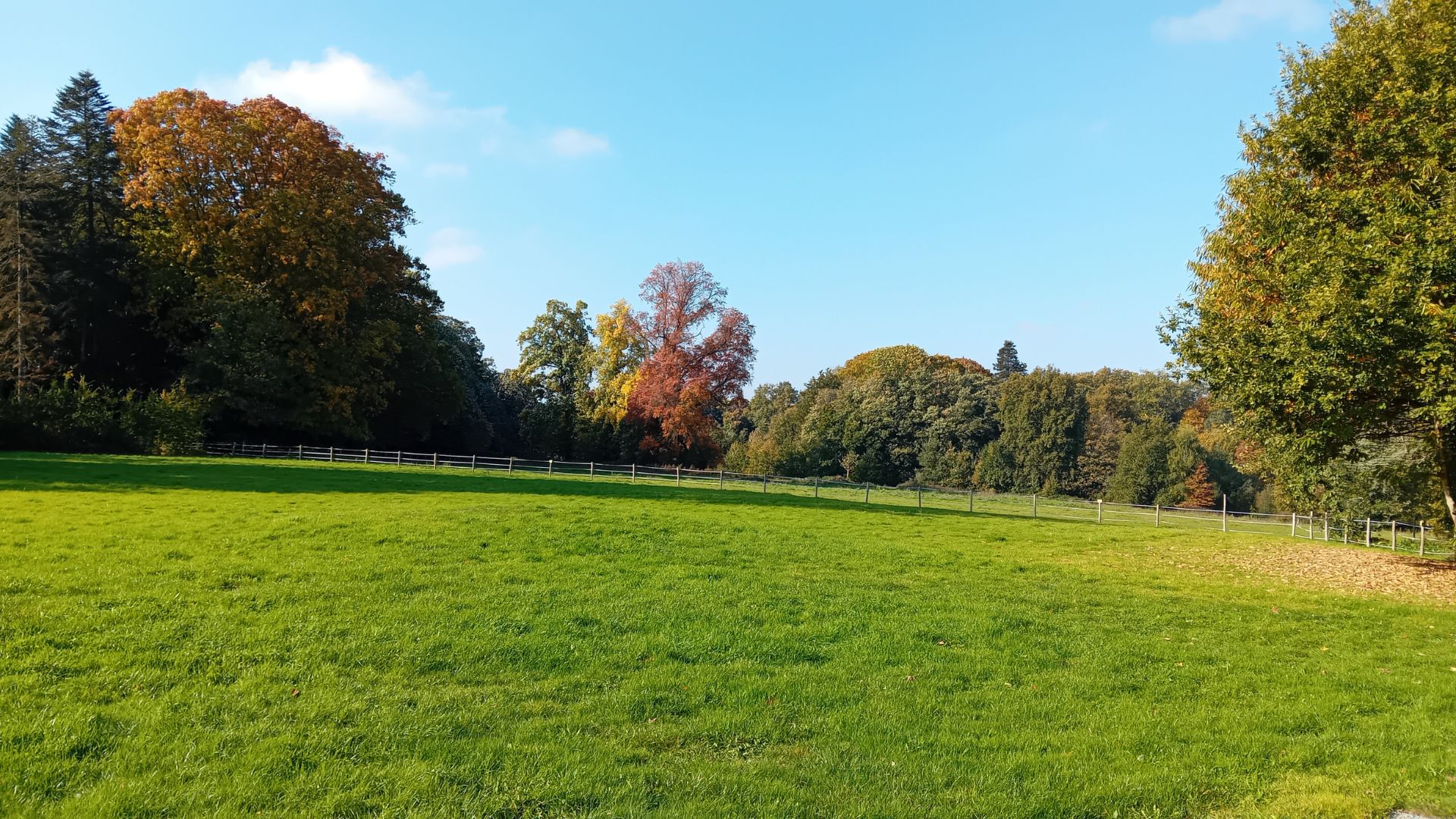 mariage-parc-chateau-bois-rignoux